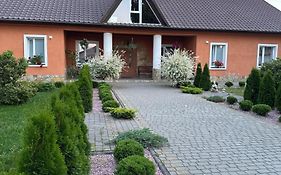 Гостевой Дом Білий Птах
